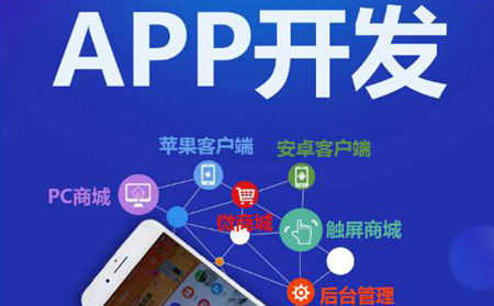手机app定制开发